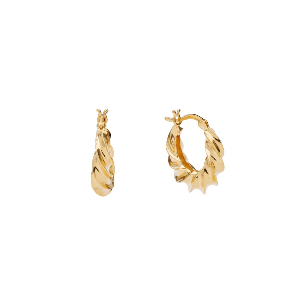 Ellie Hoops