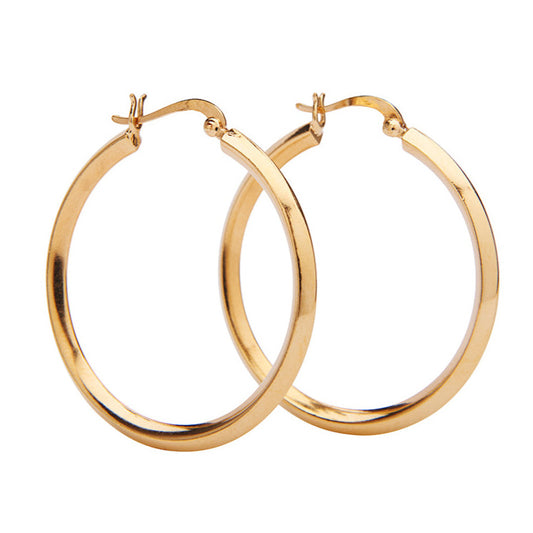 Paisley Hoops