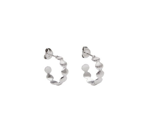 Coquille Ørestikker<br>