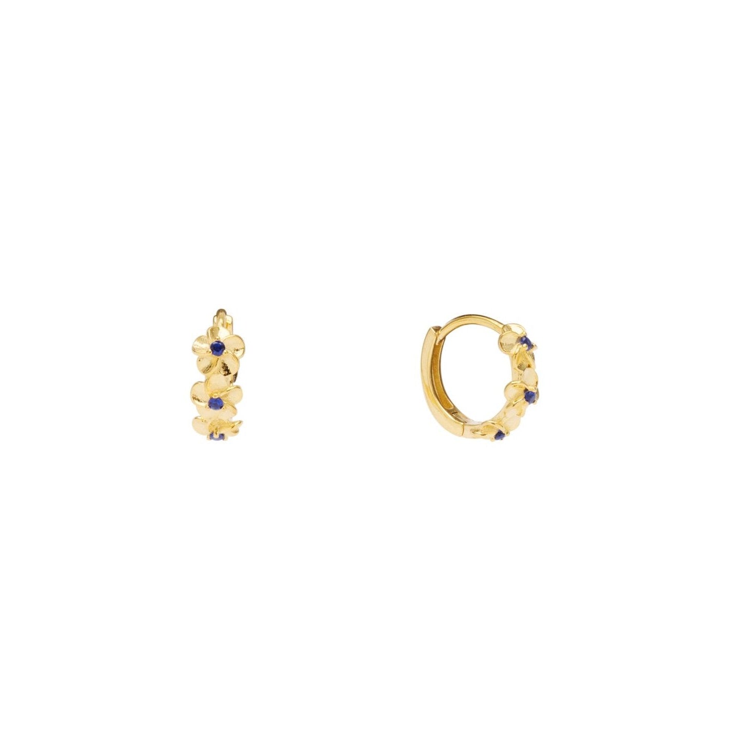 Aster Hoops