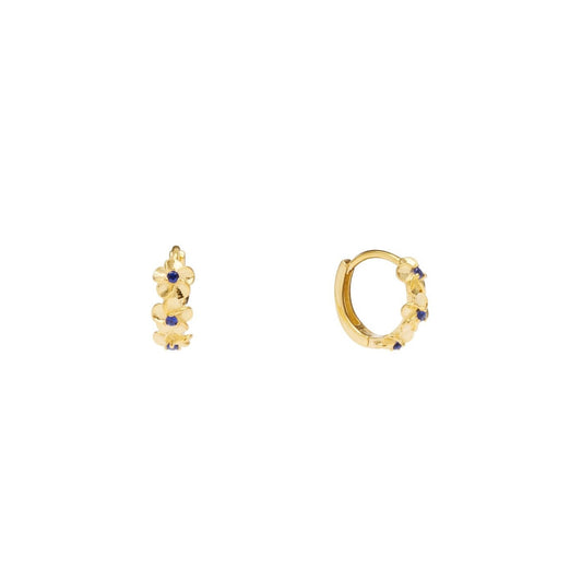 Aster Hoops