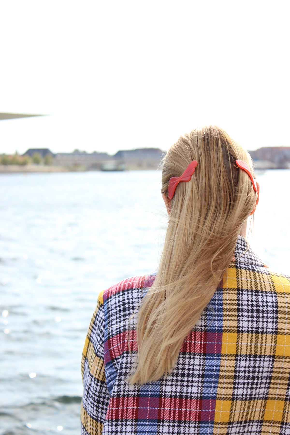 Susan Hair Clip
