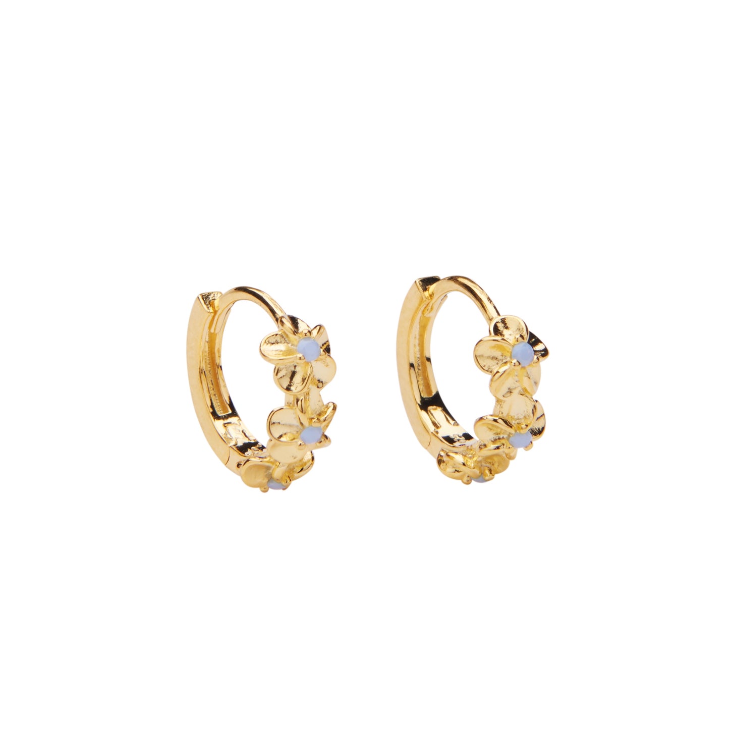 Aster Hoops