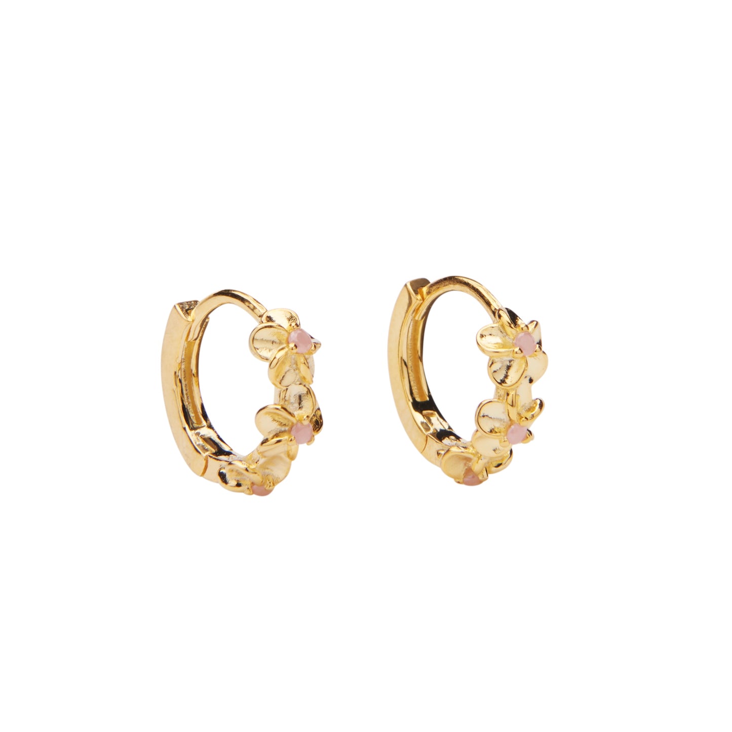 Aster Hoops