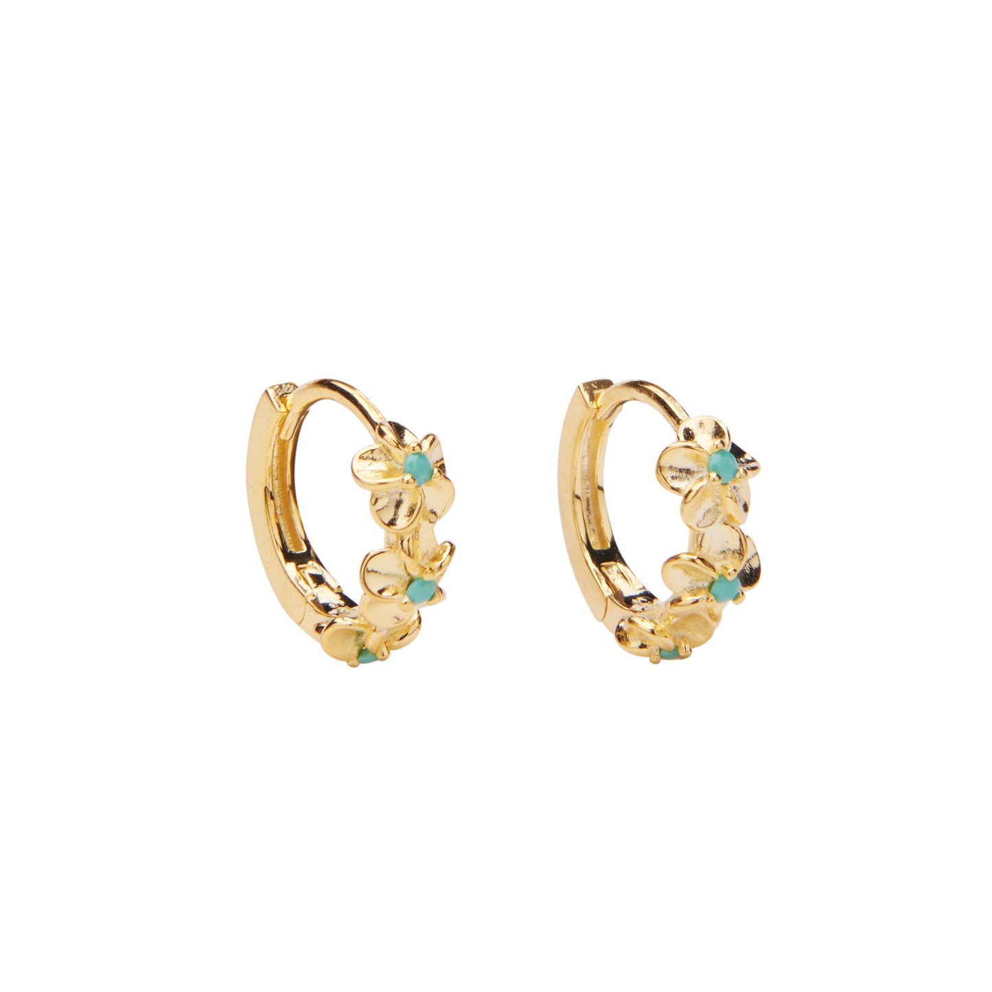 Aster Hoops