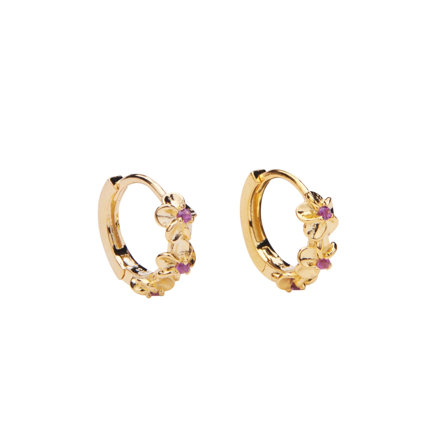 Aster Hoops