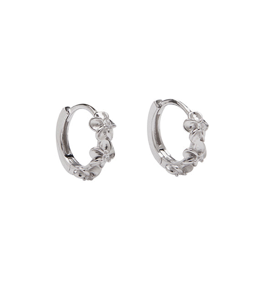 Aster Hoops
