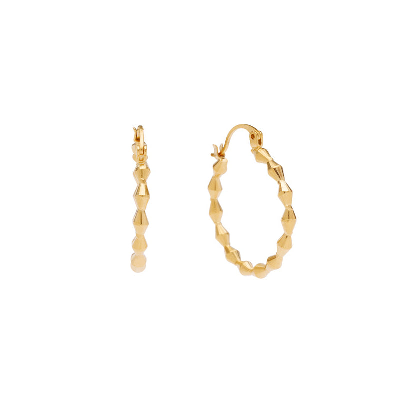 Nixie Hoops