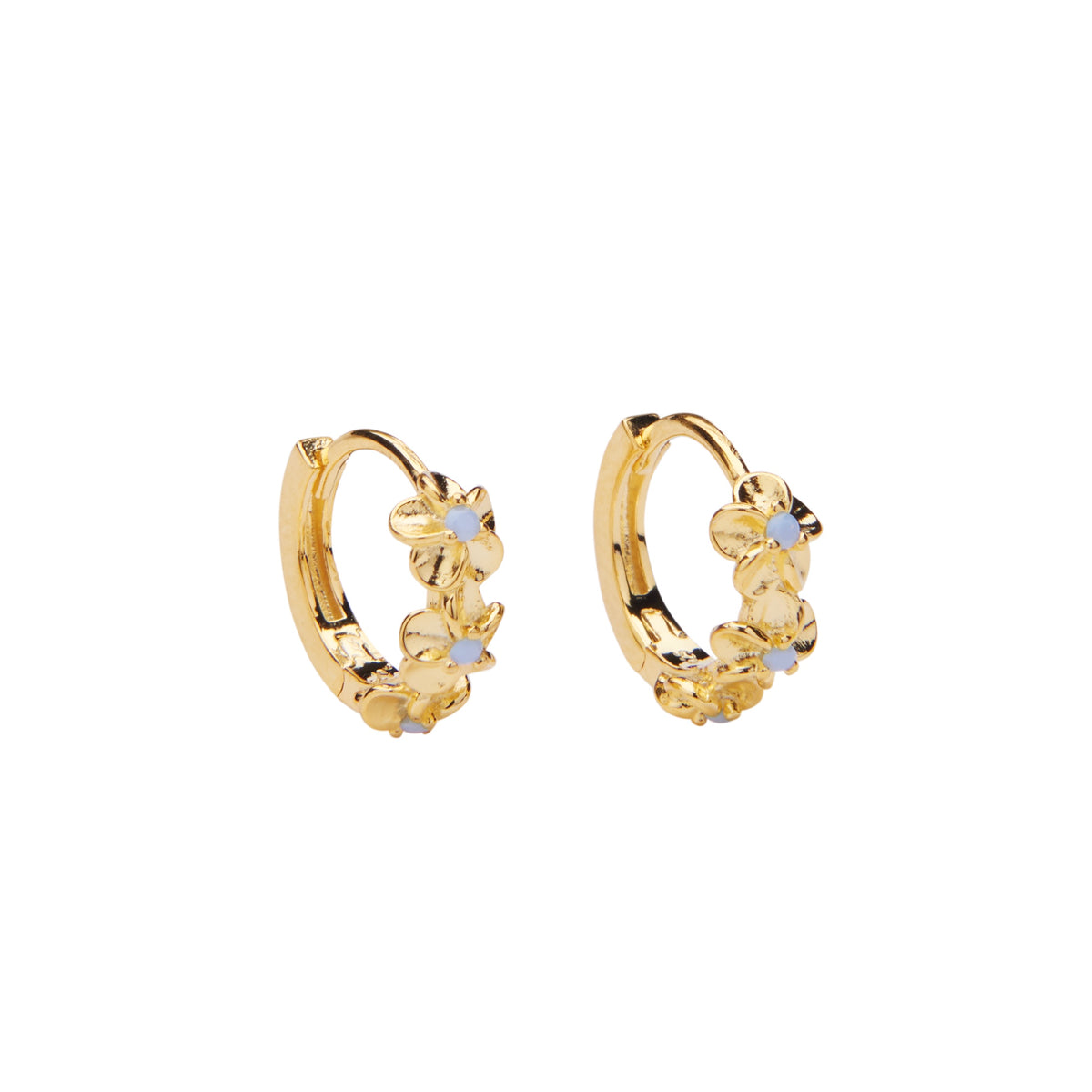 Aster Hoops
