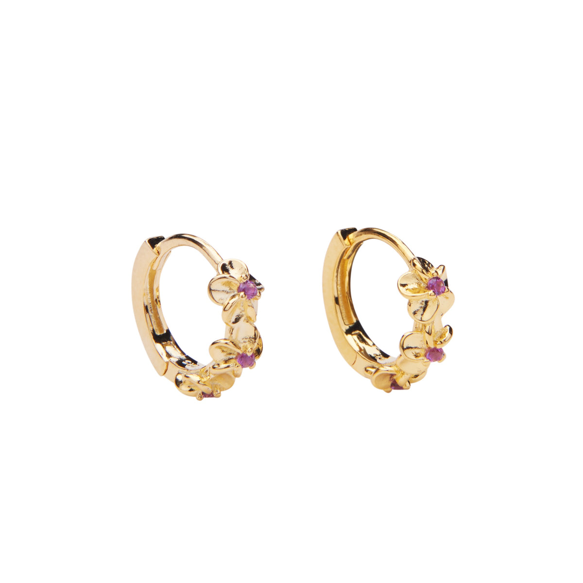 Aster Hoops